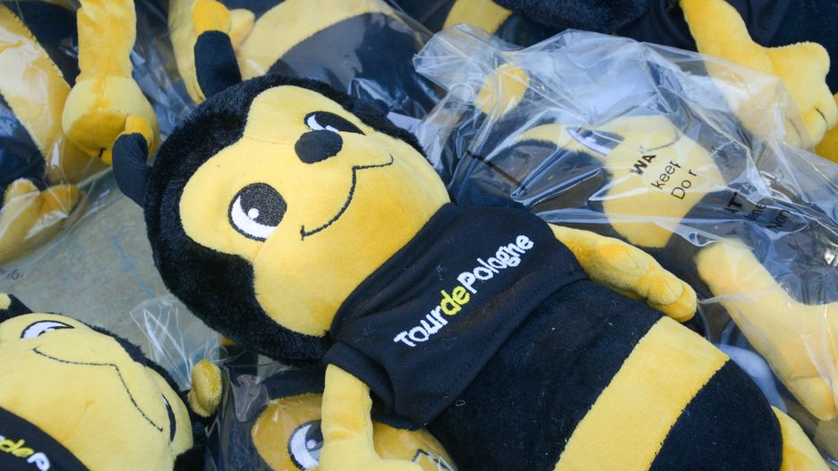 Zdjęcie ilustracyjne