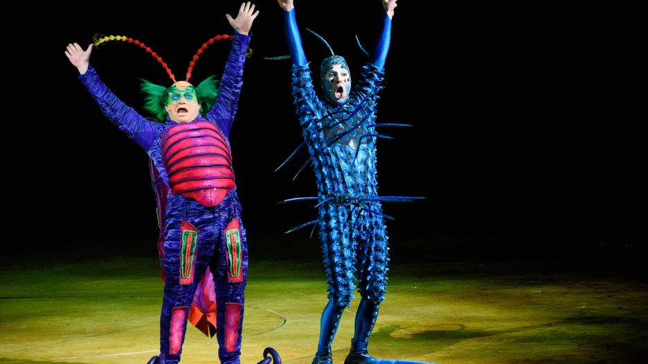 Cirque du Soleil OVO Dress Rehearsal - Photocall
LONDON, ENGLAND - JANUARY 09: Performers during the Cirque du Soleil OVO dress rehearsal at Royal Albert Hall on January 9, 2018 in London, England. (Photo by Joe Maher/WireImage)
Joe Maher