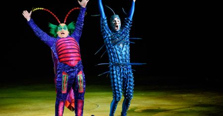 Recenzja Cirque Du Soleil. Adrenalina w rytmie samby