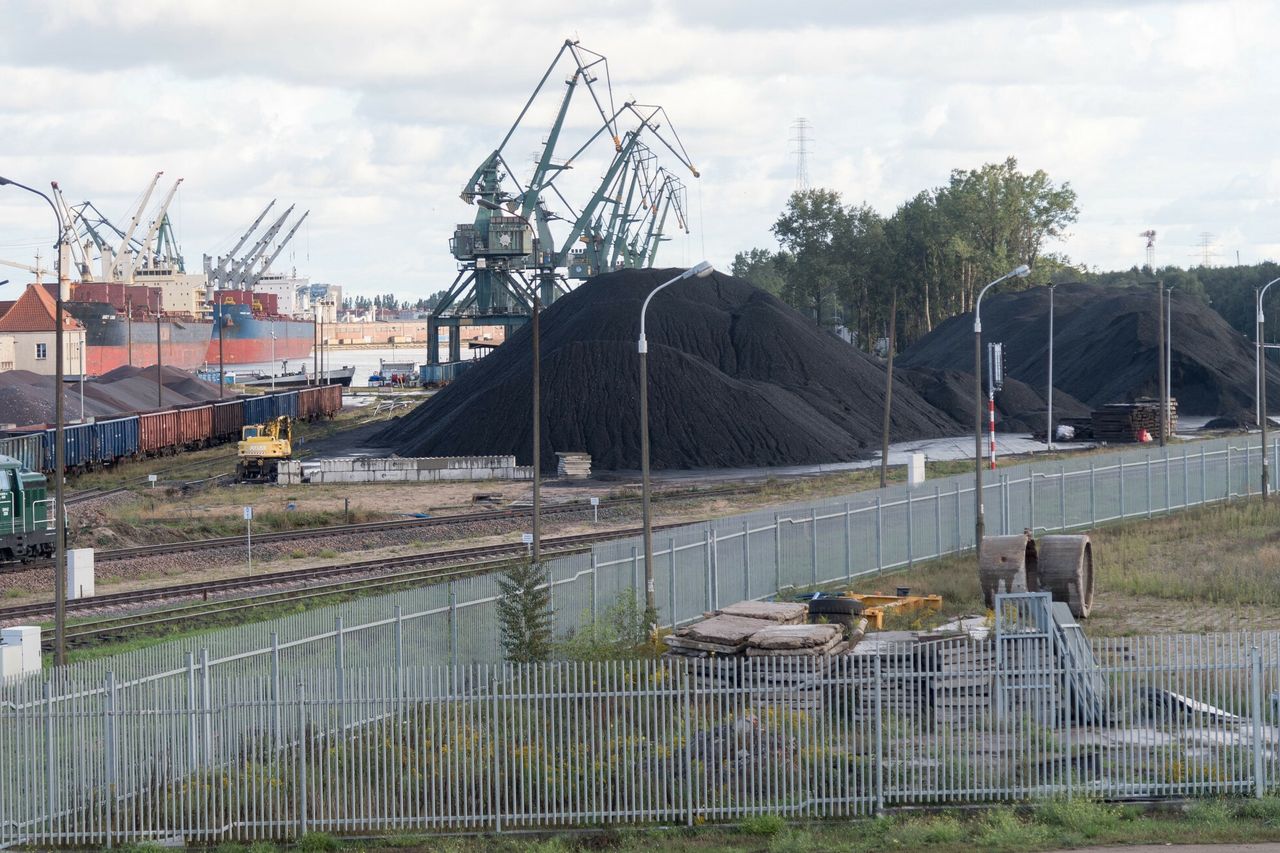 Premier podał, ile kosztować ma węgiel od samorządów. I czego "domaga się" od władz lokalnych