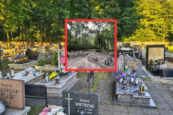 Bez zniczy i pomnika. Tylko urna biodegradowalna. Oto nowy cmentarz