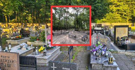 Bez zniczy i pomnika. Tylko urna biodegradowalna. Oto nowy cmentarz