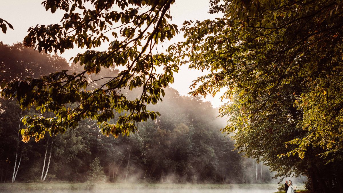 Rynek fotografii ślubnej w liczbach 1