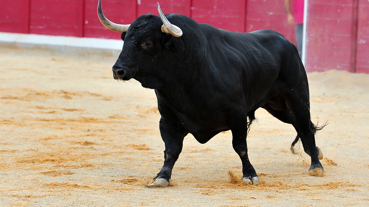 To koniec Rodeo w Gliwicach