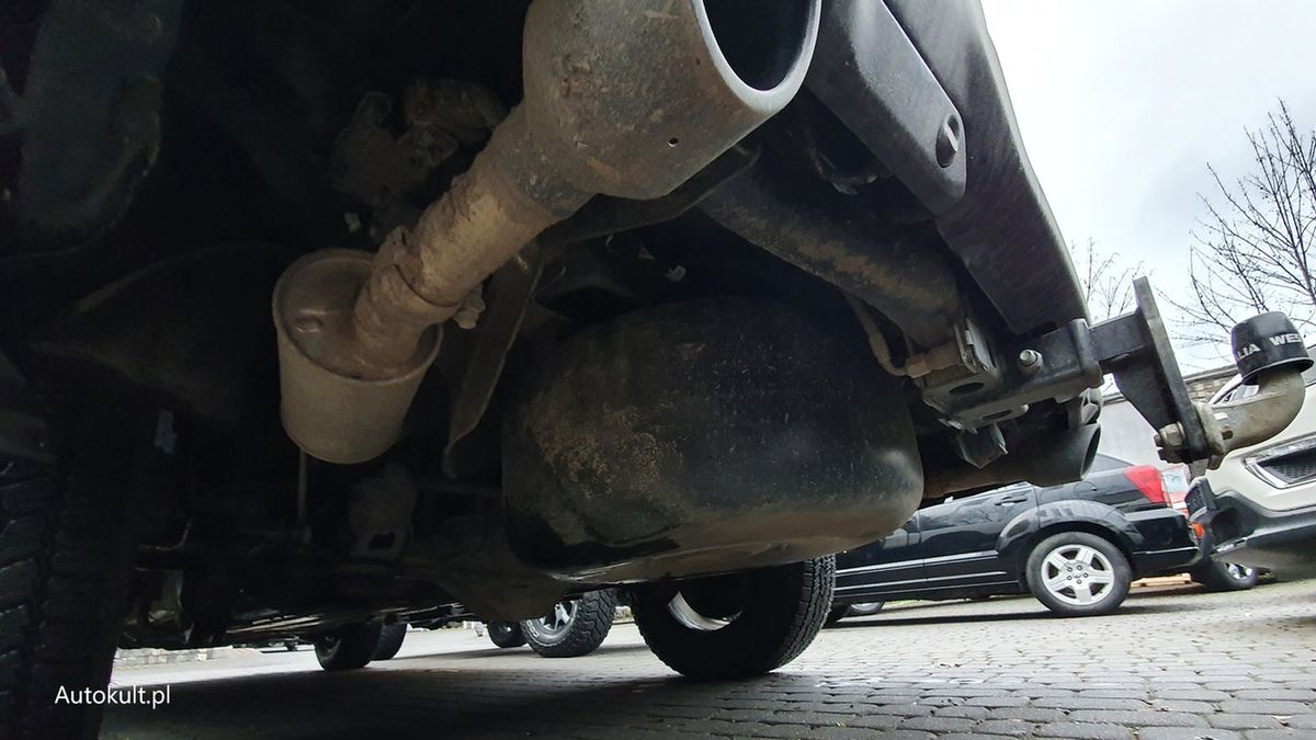 Zdjęcie ilustracyjne do artykułu