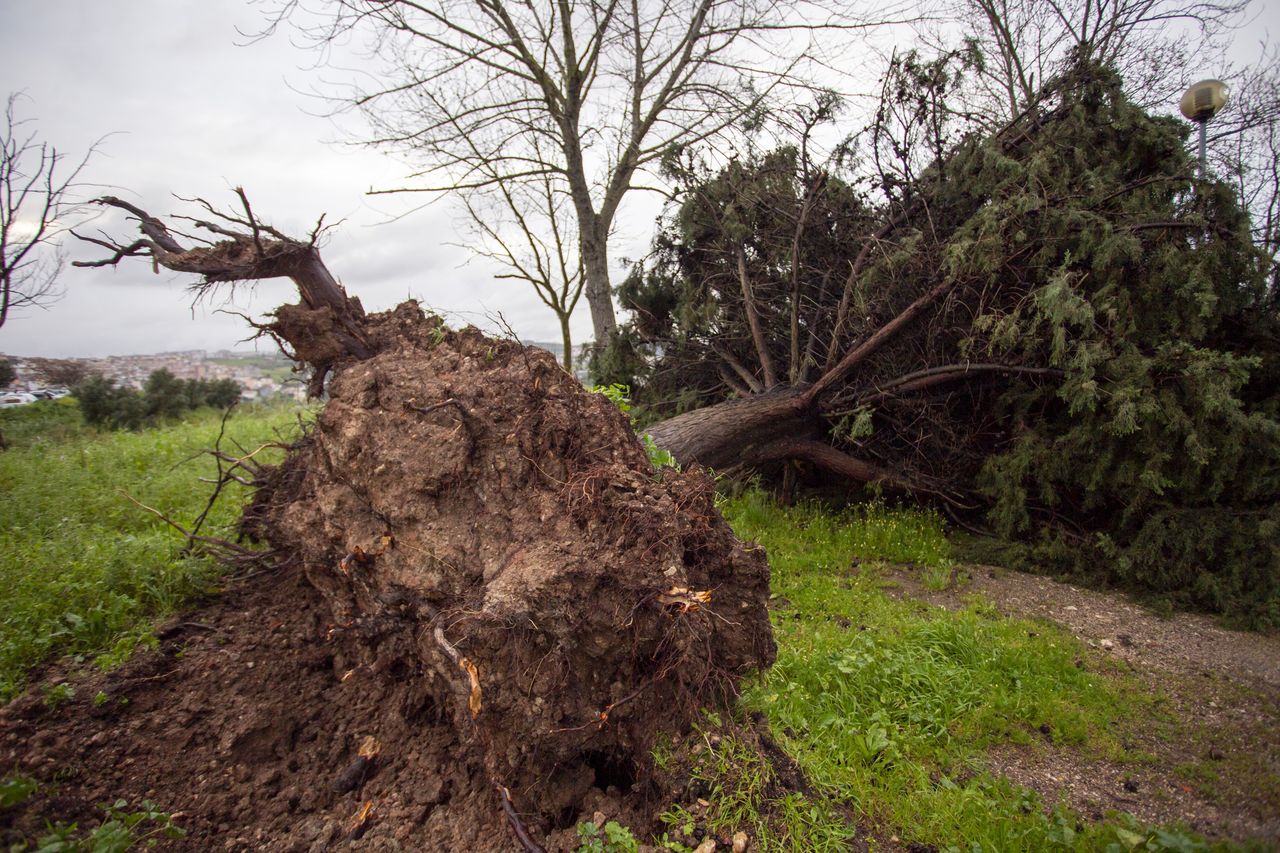 Orkan Claudia uderzył w Portugalię. Chaos w wielu regionach