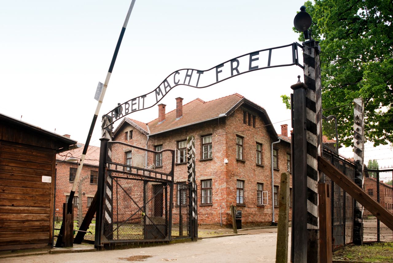 Surviving history: From Auschwitz to modern conflict