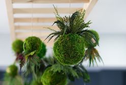 "Wrocław nie marnuje". Plenerowe wydarzenie w Ogrodzie Botanicznym