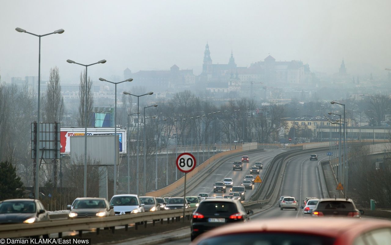 Od 1 września 2019 roku nie będzie można w Krakowie palić węglem.