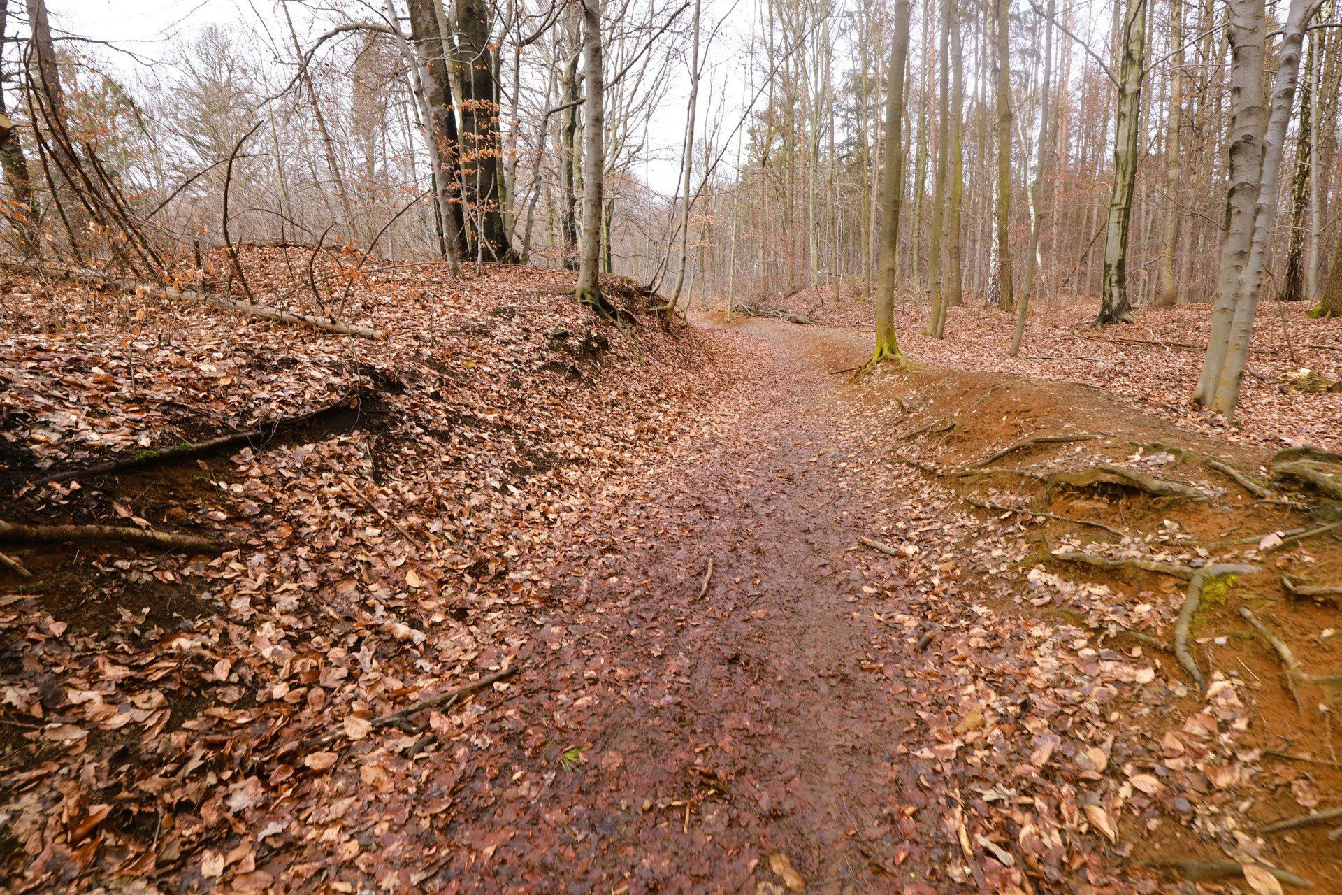 Rezerwat Segiet – Bytom / Tarnowskie Góry