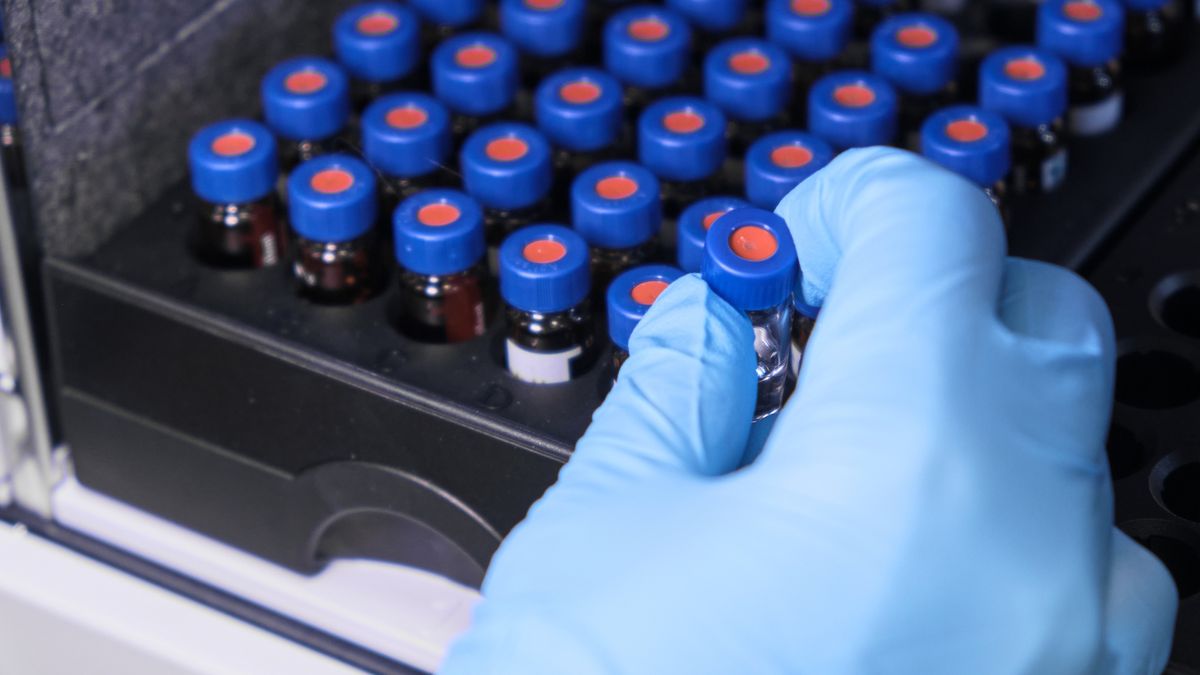 Close up woman hand in a rubber gloves put sample in a glass vial with blue cap into the autosampler rack in HPLC system. High performance liquid chromatography for separation compounds . Scientific and research work at chemical or clinical laboratory.
Close up woman hand in a rubber gloves put sample in a glass vial with blue cap into the autosampler rack in HPLC system. High performance liquid chromatography for separation compounds . Scientific and research work at chemical or clinical laboratory
Volodymyr Kalyniuk