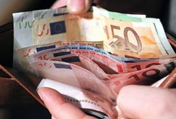 Polska do strefy euro? "Euro to nie jest broń nuklearna"