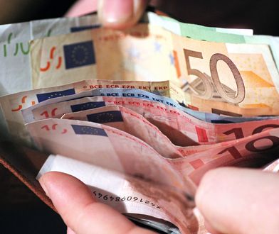 Polska do strefy euro? "Euro to nie jest broń nuklearna"