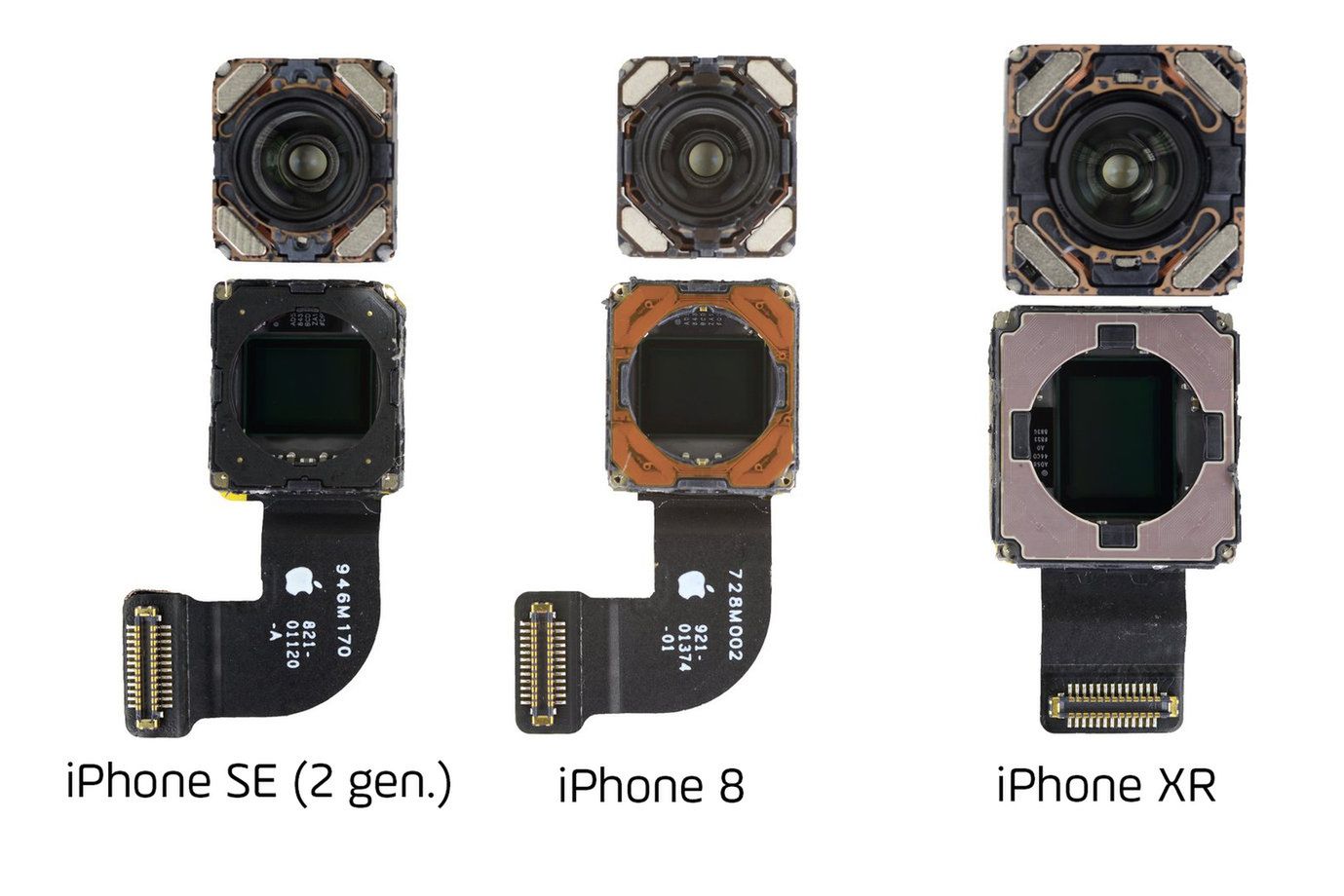iPhone SE (2 gen.) kontra iPhone 11 Pro: Który robi lepsze zdjęcia? 2