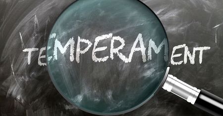 Temperament - charakterystyka, rodzaje temperamentu według Hipokratesa i Galena, rodzaje według Pawłowa