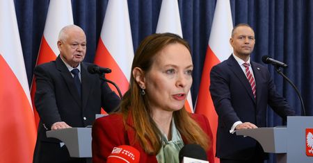 Pełczyńska-Nałęcz ocenia SAFE 0 proc. "Propozycja wyjęta z kapelusza"