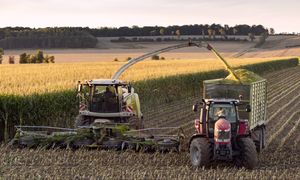 "Rolnicy o tym nawet nie słyszeli". Sejm przegłosował wysokie kary