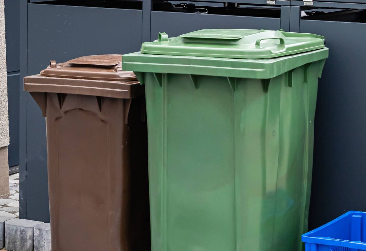 Jak segregować śmieci?