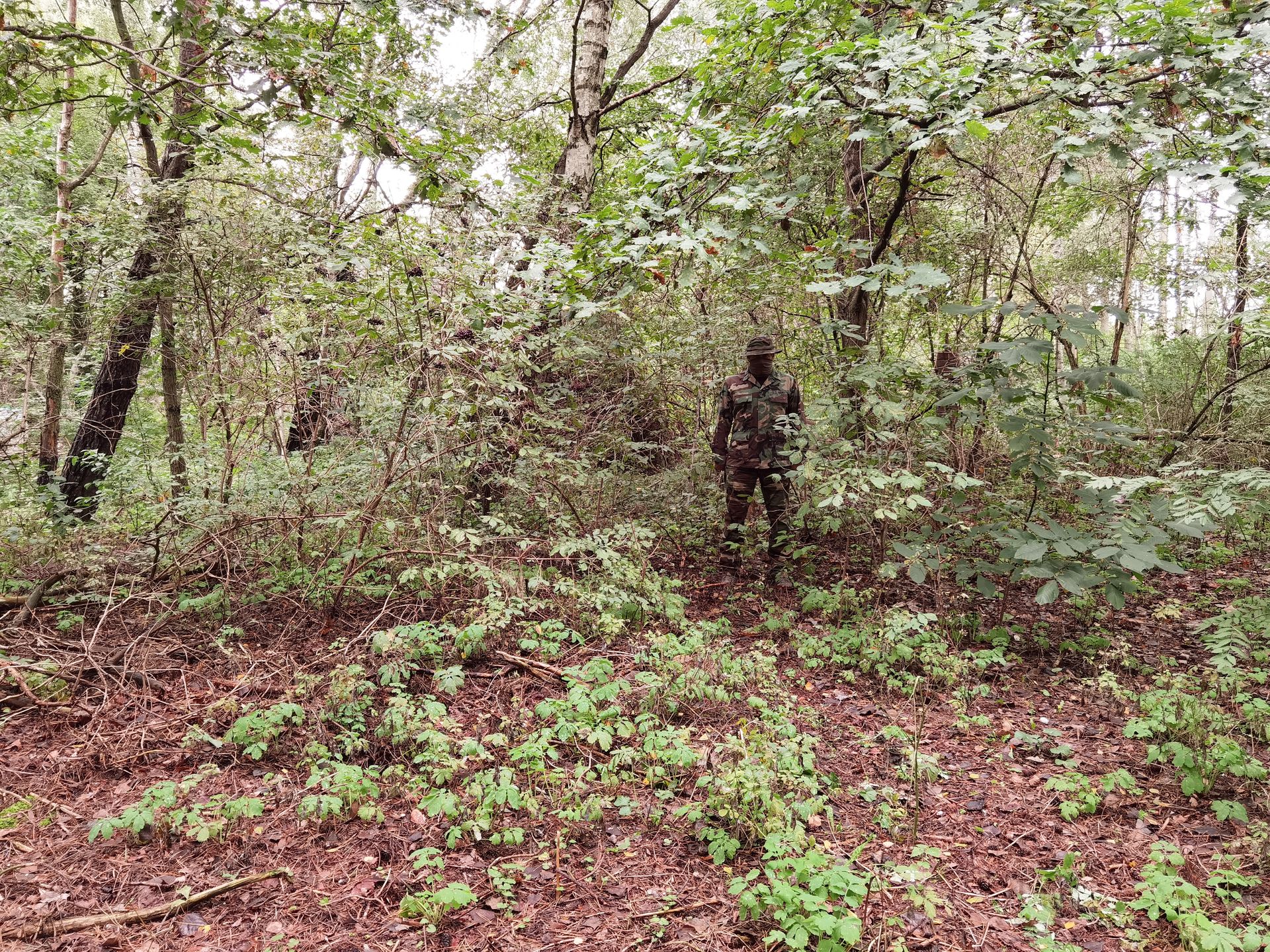 Kamuflaż M81 Woodland, lokalizacja trzecia