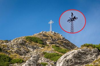 Policja szuka trzech "śmiałków" z Giewontu. Grozi im więzienie i ogromne mandaty