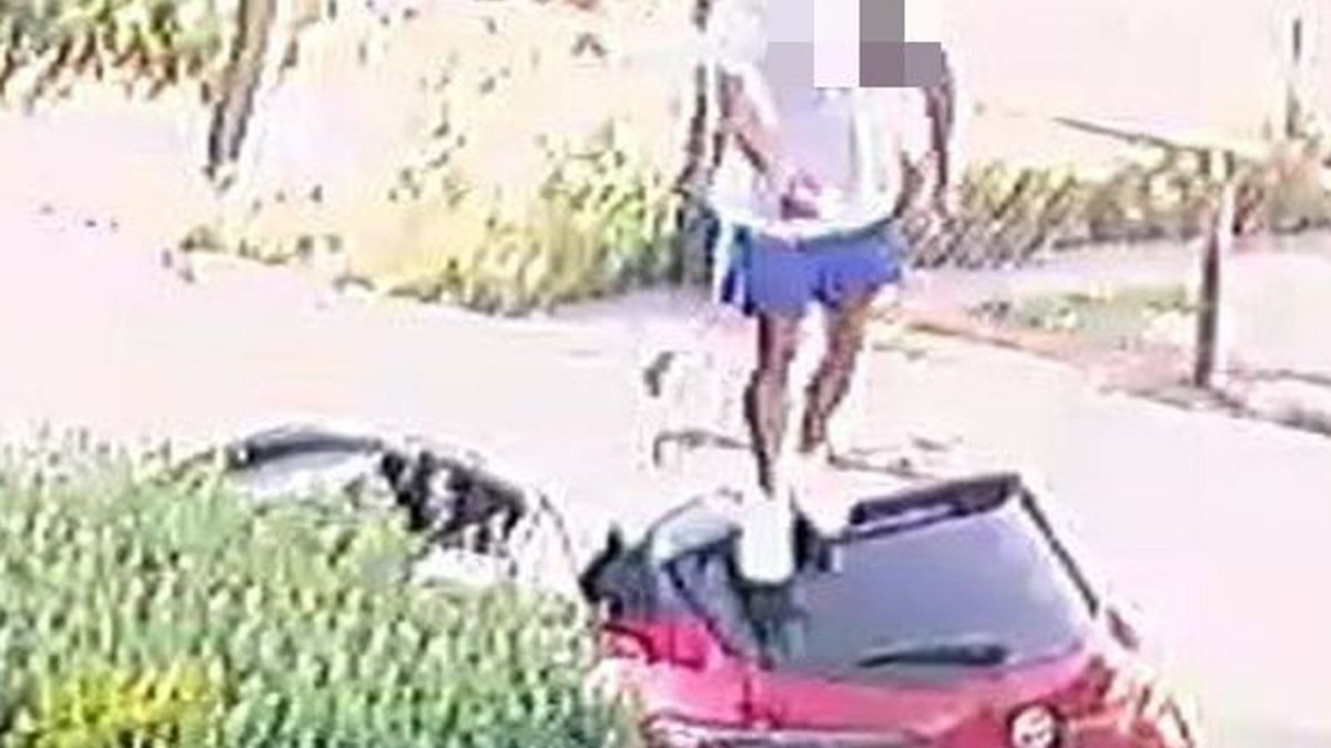 Straty po spacerze wyceniono na 24 tys. złotych.