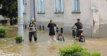 Kolonie grzybów niebezpieczne dla zdrowia. Mogą pojawić się w zalanych domach