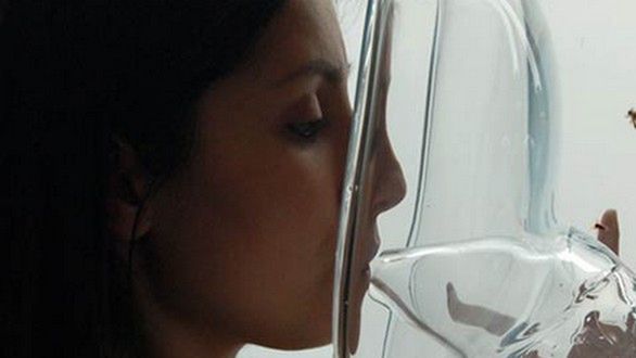 Owady uratują ludzkie życie. Pszczoły wykrywają raka! 1