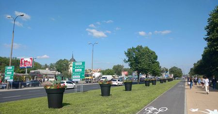 Ogromne donice pojawiły się w centrum Lublina [ZDJĘCIA]