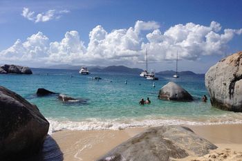 Śmiertelny atak rekina. 56-latka z USA nie przeżyła