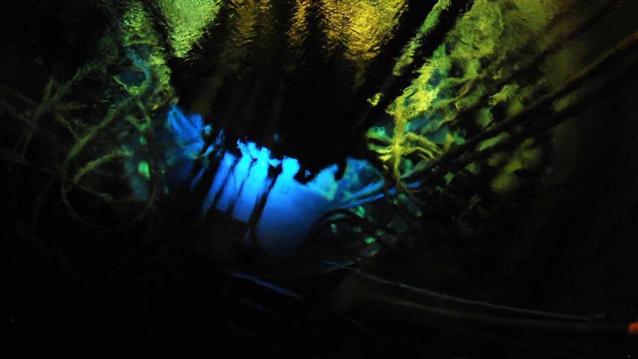 Polski reaktor jądrowy przestaje działać. Powód jest kuriozalny