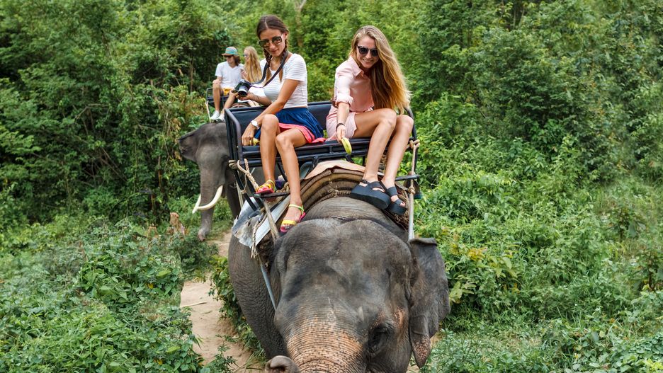 Andrey Palcevriding, tourist, elephant, jungle, thailand, people, forest, young, wild, nature, safari, travel, ride, animals, tropical, background, asia, asian, elephants, tourists, man, adventure, trekking, smile, animal, women, vacation, wildlife, exotic, island, friends, girls, trunk, attractions, summer, summertime, trip