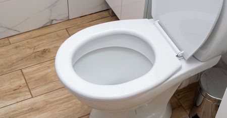 Rozgnieć tabletkę i wsyp do muszli. Rano będzie lśnić jak nowa