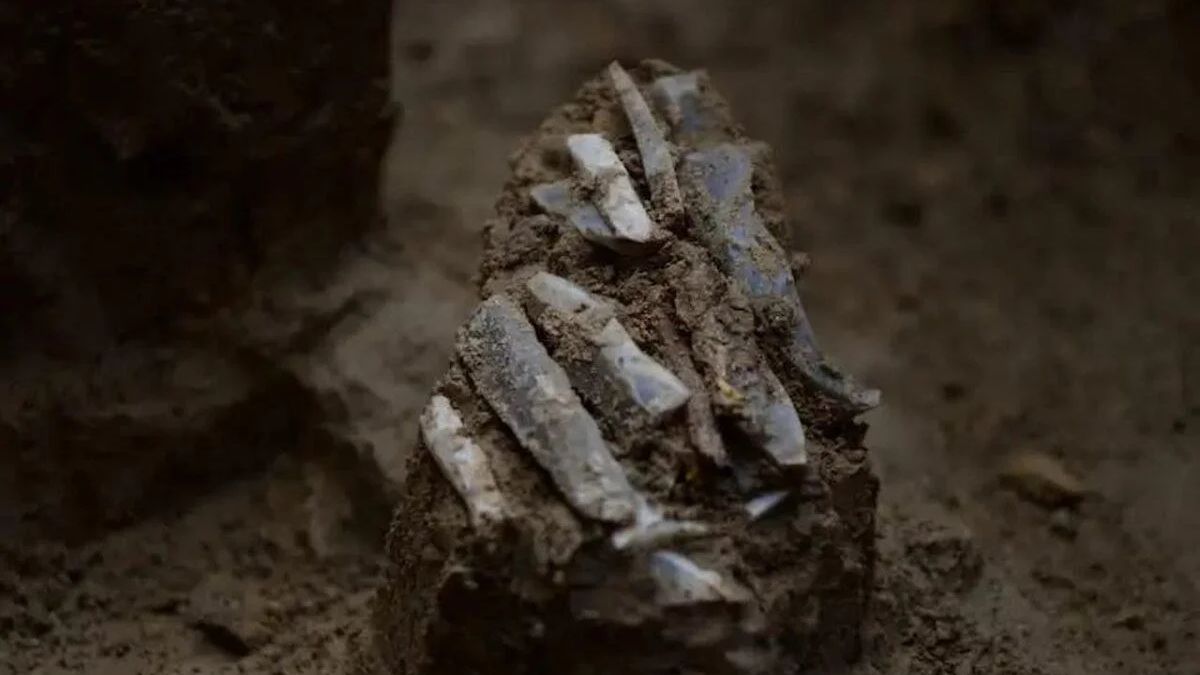 Zestaw narzędzi znaleziony przez Czechów