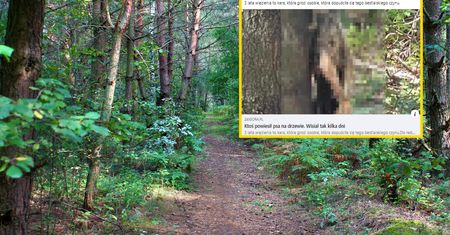 Horror podczas spaceru. Pies wisiał tak od kilku dni