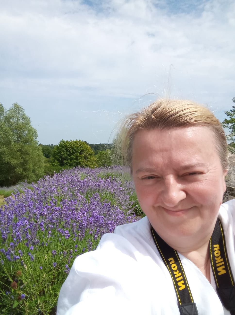 Choć lawenda w tym roku przemarzła, większość pola prezentuje się okazale