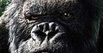 King Kong po polsku