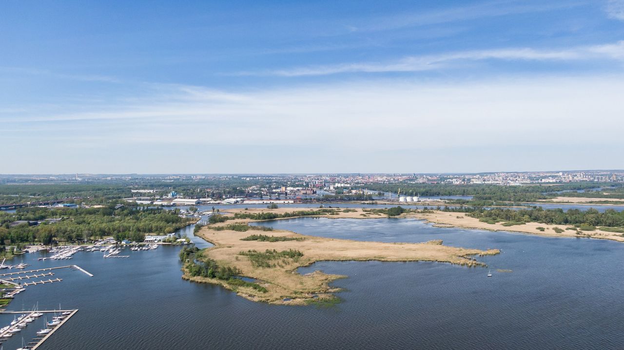 Martwe mewy na polskim wraku. Władze ostrzegają turystów