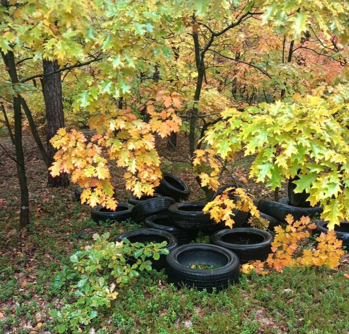 Wystawiacie odpady wielkogabarytowe? Możecie się zdziwić ilością opon, które &#34;wyrzucacie&#34;
