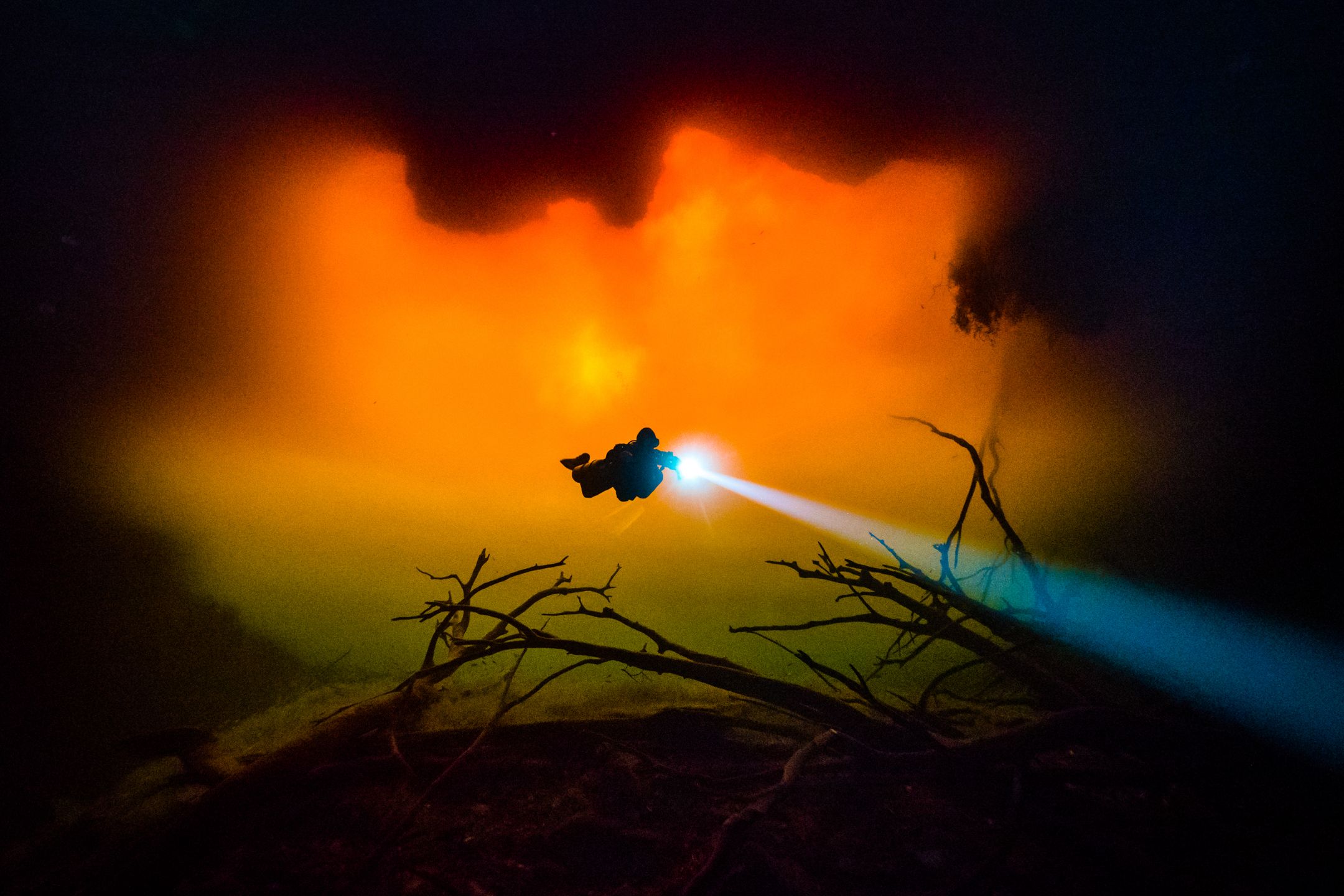 Underwater Photographer of the Year 2018 - niesamowity podwodny świat na wyciągnięcie ręki 11
