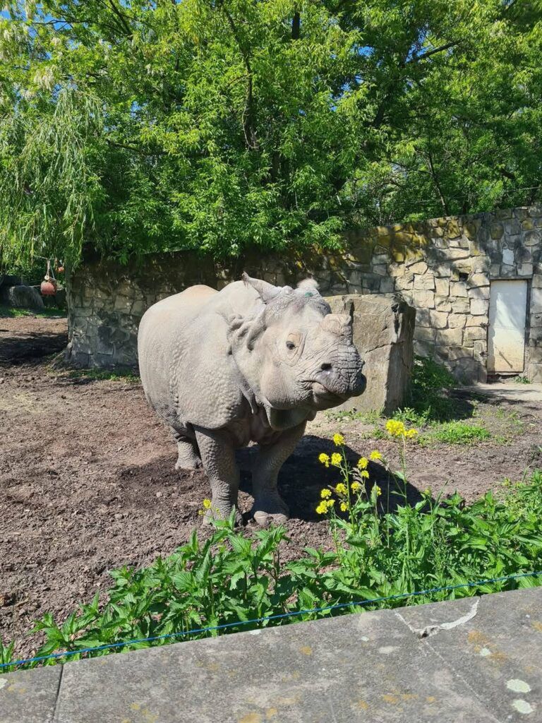 Fot. ZOO Karolina Płaneta