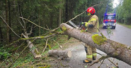 18 tys. odbiorców nadal bez prądu. Trudna sytuacja w Podlaskiem