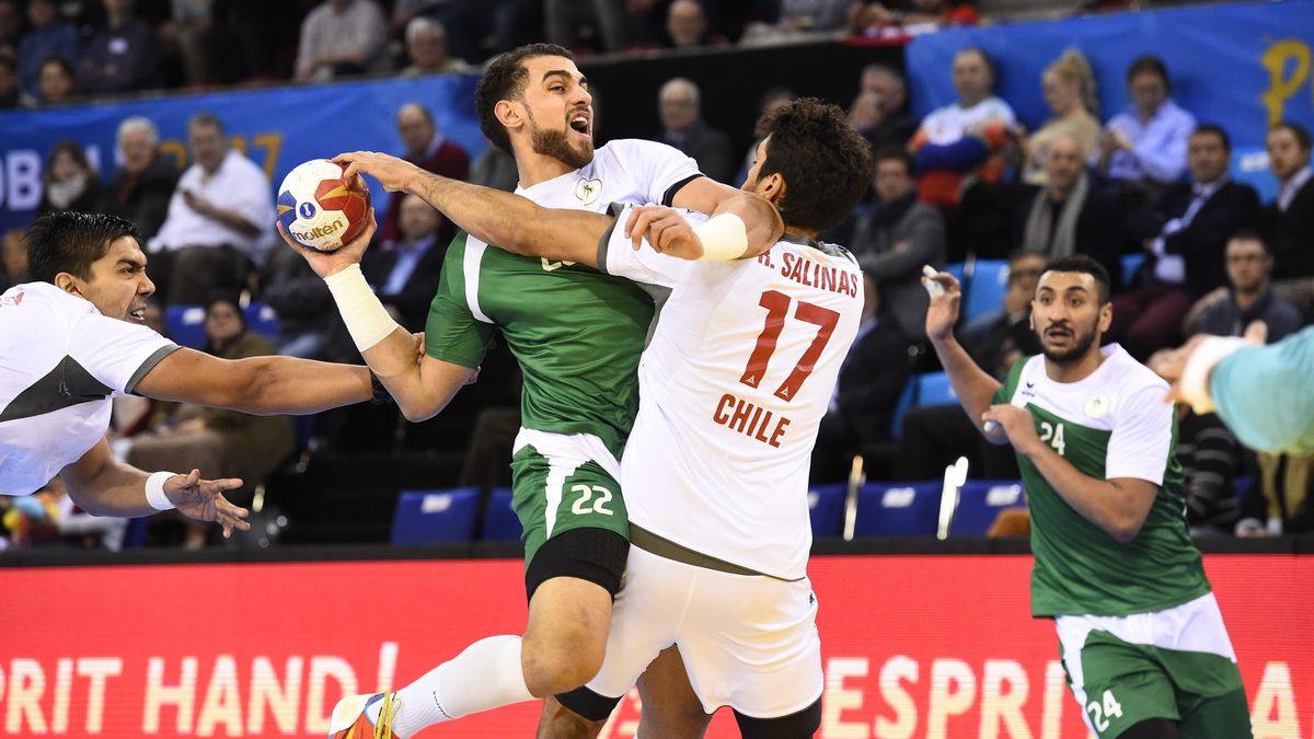 Zdjęcie okładkowe artykułu: Materiały prasowe / FRANCE HANDBALL 2017