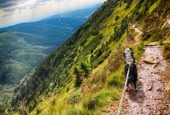 Sosnowiec. Grupa wsparcia dla rodzin na kwarantannie, zainteresowanie jest bardzo duże