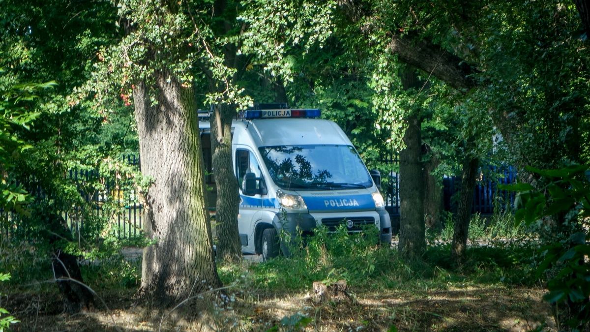 Śledztwo nadal nie potwierdziło, że zwłoki znalezione w zaroślach na obrze