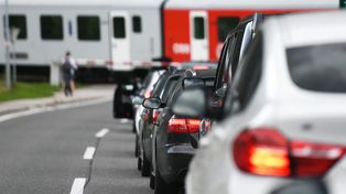 Swędów: Krzak rosnący obok przejazdu kolejowo - drogowego utrudnia widoczność i stwarza niebezpieczeństwo wypadku. Co na to kolej?