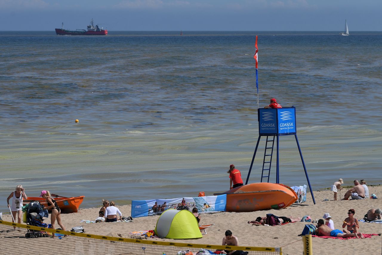 Sinice 2022. Zamknięte kąpieliska. Aktualna Mapa sinic [28.07.2022]