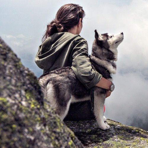 Co to jest dogtrekking?