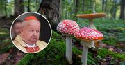 Kardynał Dziwisz z muchomorem na głowie. Praca trafi na wystawę