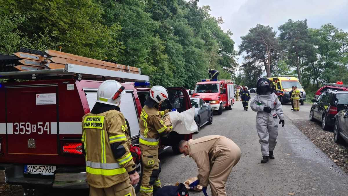 W akcji brały udział aż cztery zastępy straży pożarnej 