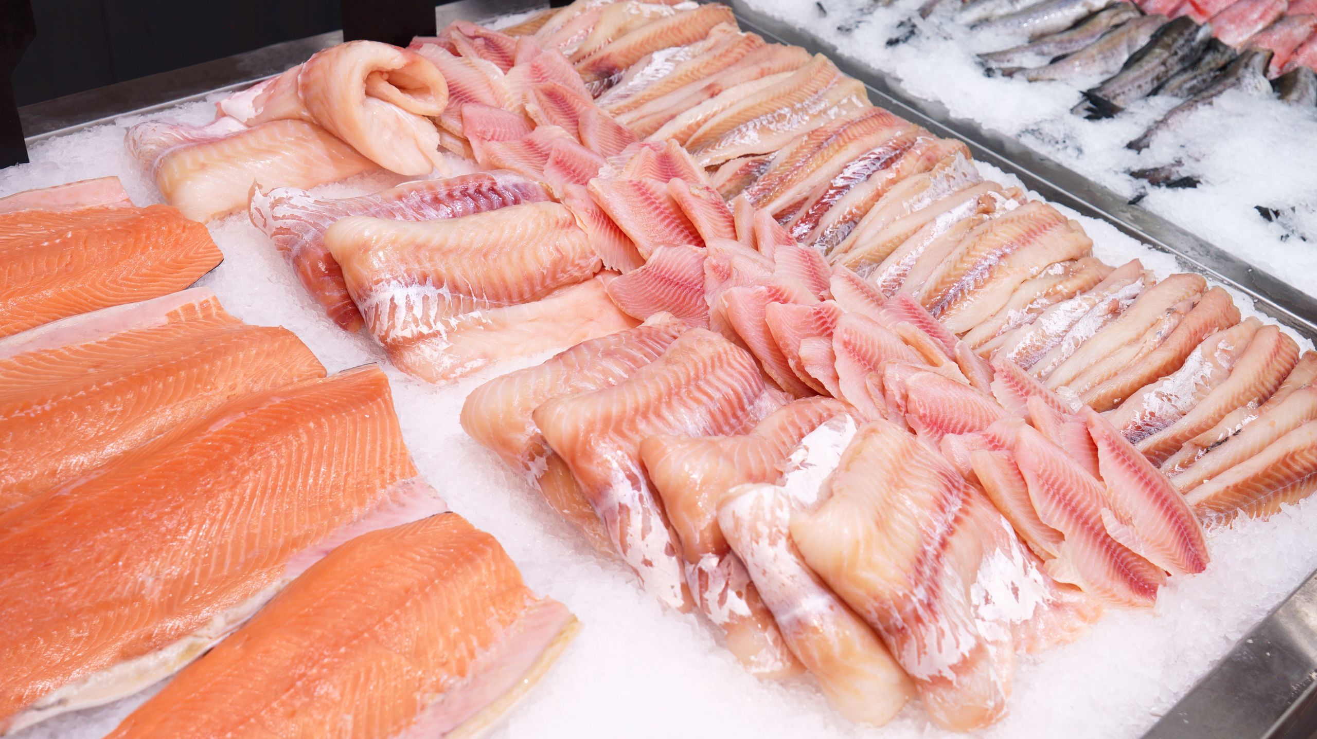Seafood counter display of fish. White cod and tilapia fillets with orange salmon filletsAlexander Nasonovfish, supermarket, salmon, cod, tilapia, pollock, abundant, goodfood, omega-3 fatty acids, market, seafood, store, ice, food, raw, fresh, healthy, shop, cold, red, freshness, nutrition, fillet, gourmet, steak, display, sea, cool, eating, retail, assortment, shelf, frozen, nobody, department, row, slice